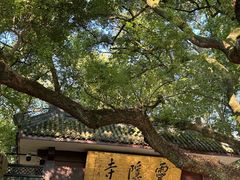 -灵隐飞来峰景区