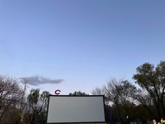 -枫花园汽车电影院(朝阳公园店)