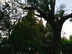 -习家池