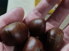 -粒上皇(崇文门店)