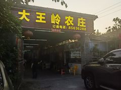 -大王岭农庄