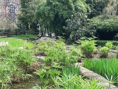-成都市活水公园