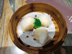 -怡品堂·金宴 (北京索菲特大酒店)