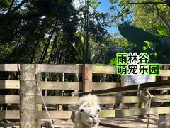 -呀诺达热带雨林