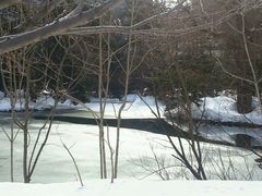 android_upload_pic-北海道厅旧本厅舍(旧本庁舎)