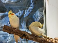 -Zoolung Zoolung动物主题公园(海信广场店)