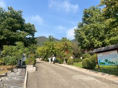 -遵化市禅林寺古银杏风景园