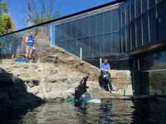 -西雅图水族馆
