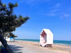 -巧克力渔家.小船海鲜家常菜(万平口店)