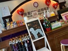 -宠爱国际动物医院·消化内科·心肾内科·ISFM猫友好(望京店)