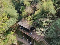 -莫干山风景区