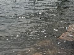 -济南国际园博园