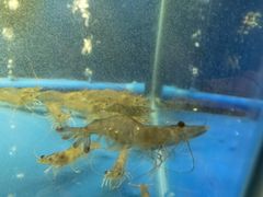 -三亚海韵度假酒店·韵和轩中餐厅