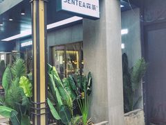 -森茶(湛江万达店)