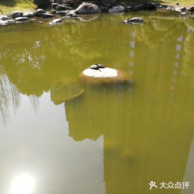 眼前的景，使心情豁然开朗，真的要感谢春天
