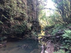 -怀托摩萤火虫洞