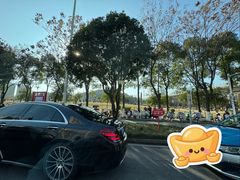 -三江森林温泉度假区