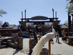 -呀路古热带植物园