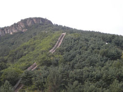 -玉泉威虎山森林公园