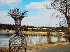 -东平国家森林公园