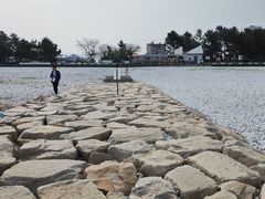 -大阪海游馆