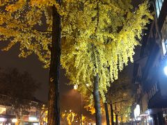 -金牌外婆家(苏州中心店)