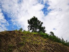 -六合国家地质公园桂子山景区