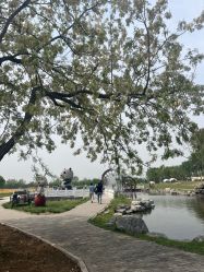 -水晶BABY儿童摄影(世界公园店)