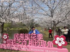 -堤角公园