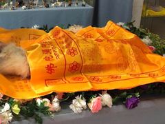 -彩虹桥宠物火化殡葬善终服务(金乐大厦店)