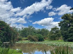 -中国科学院西双版纳热带植物园