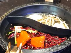 -锅说大脸毛肚重庆老火锅(佐阾店)