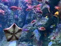 -海合安成都极地海洋公园