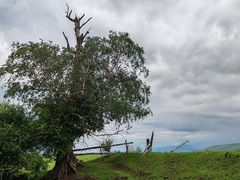 -新疆那拉提国家旅游度假区