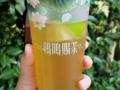 -鸡鸣赐茶(鸡鸣寺路店)