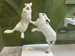 -国家自然博物馆