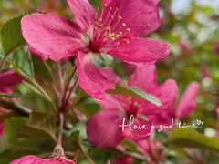 -海棠花溪(元大都城垣遗址公园)