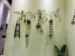 -藏猫猫咖啡主题馆(中央大道店)