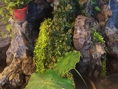 -知足堂养生会所(碑亭巷店)