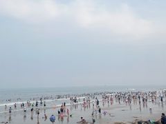 -日照海滨国家森林公园