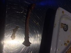 iphone_upload_pic-很久以前羊肉串(大华三路店)