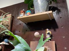 -echoes coffee回响咖啡(红山店)