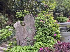 -十八棵（老龙井）御茶园(老龙井店)