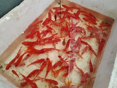 -重振华中蔬菜批发市场(重庆中路店)