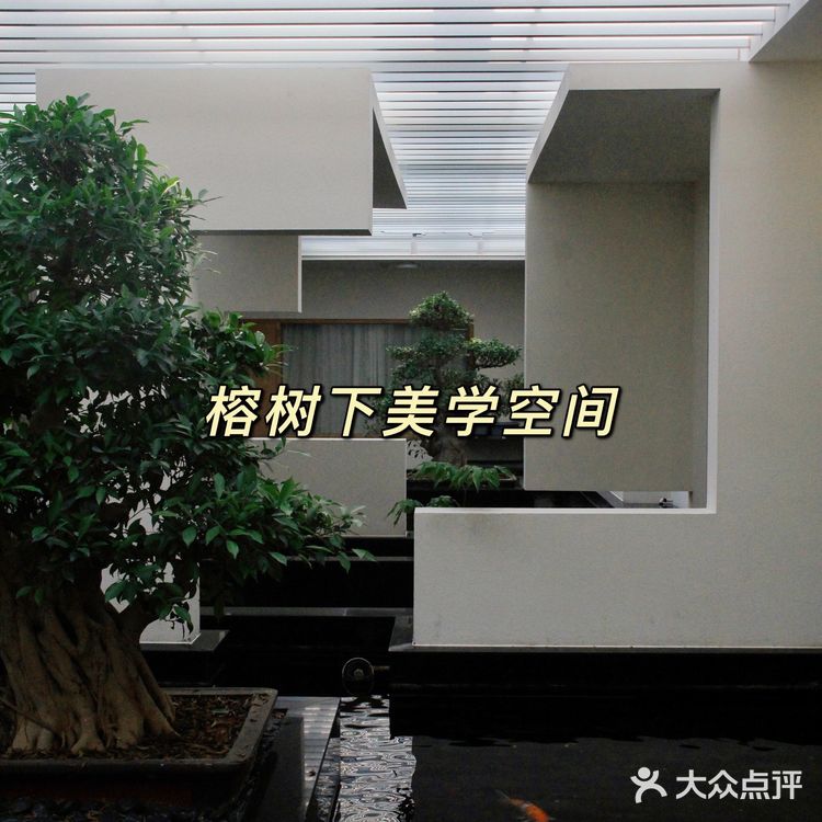 美学空间中的沉浸式茶生活体验