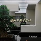 美学空间中的沉浸式茶生活体验