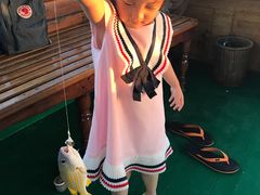 -中央格兰德岛温泉度假酒店 - 全包