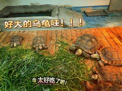 -宁波野生动物园