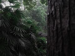 -忠山公园