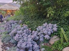 -山菌美食苑(振兴路店)
